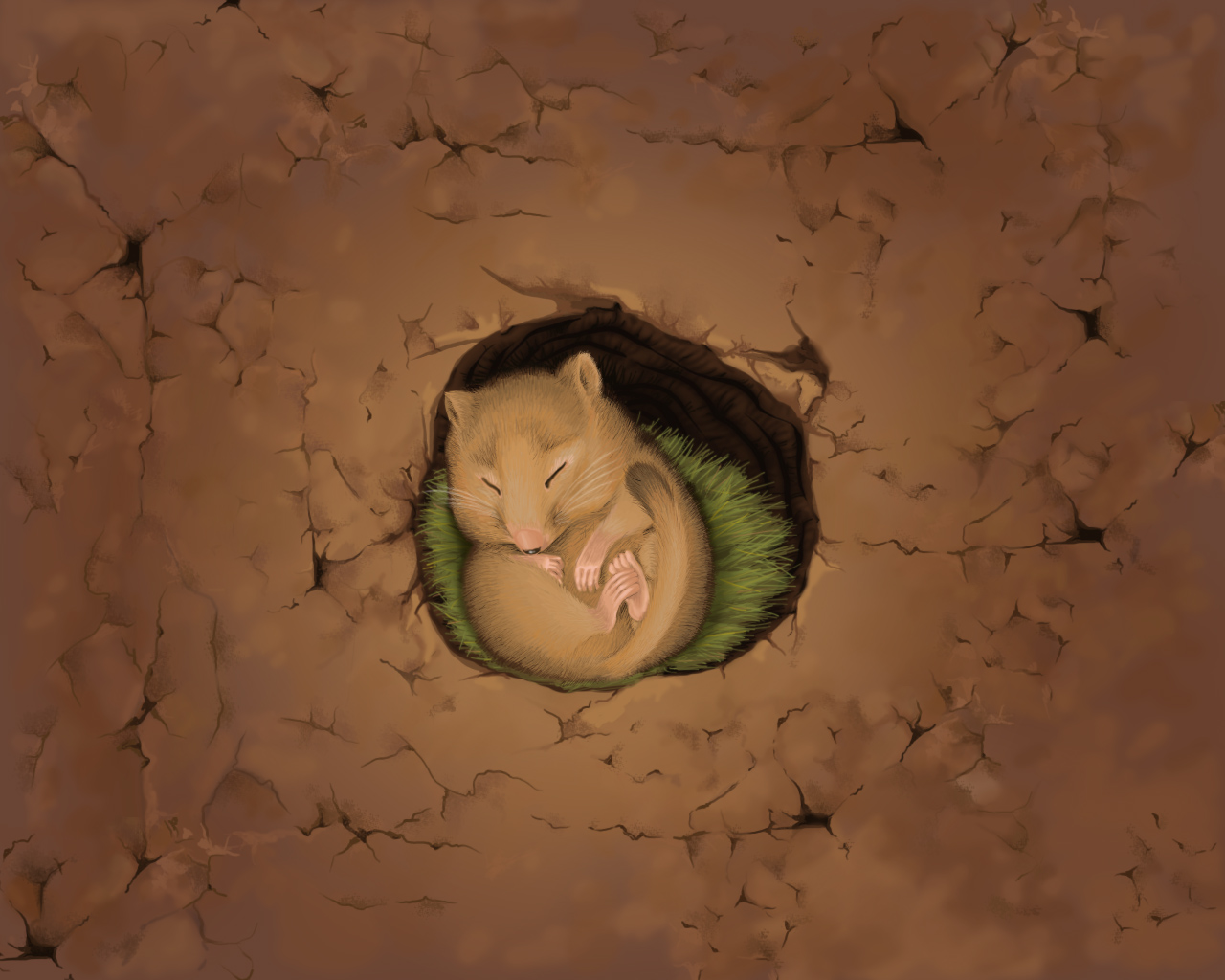 按此在新窗口浏览图片