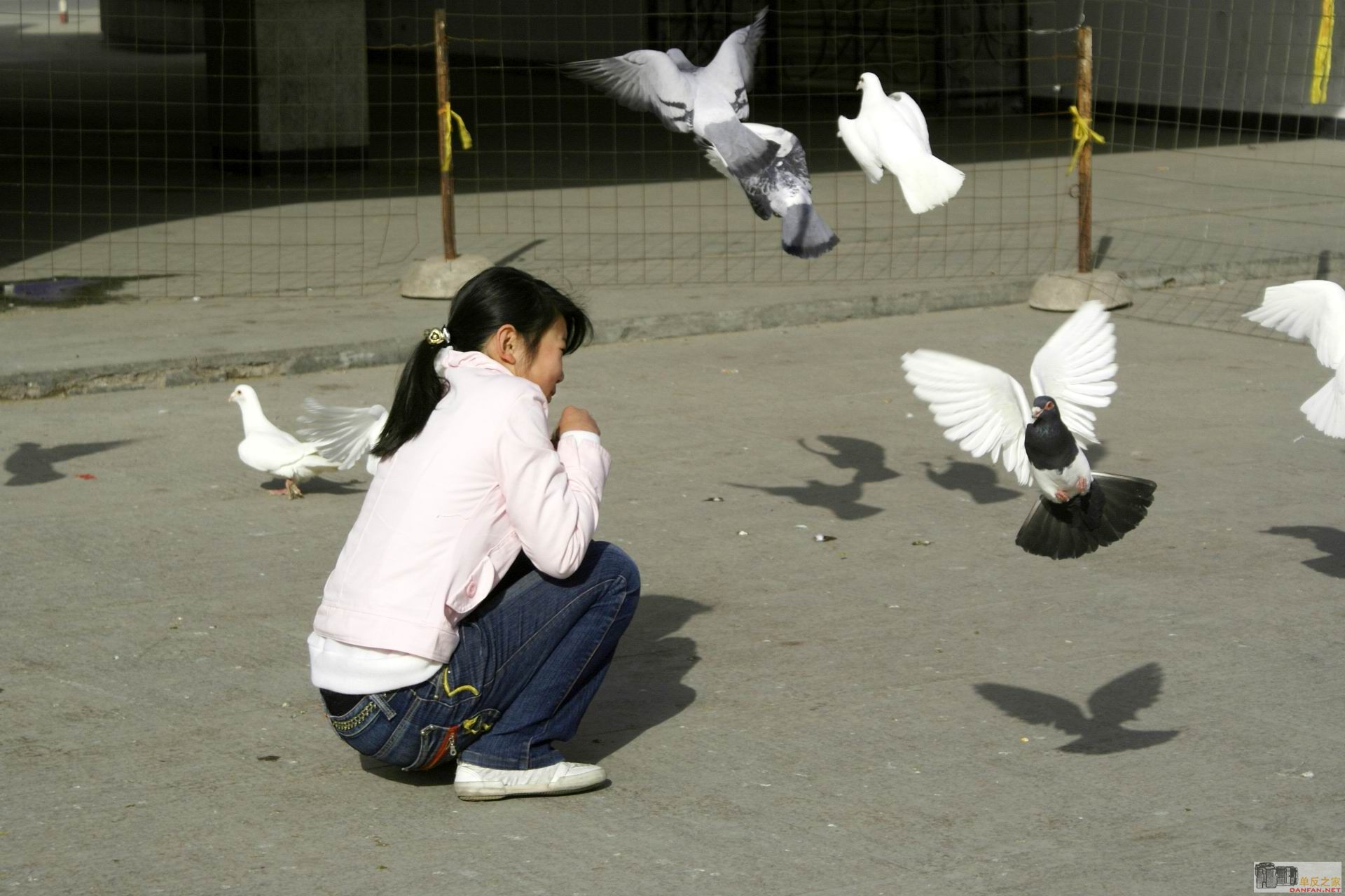 按此在新窗口浏览图片