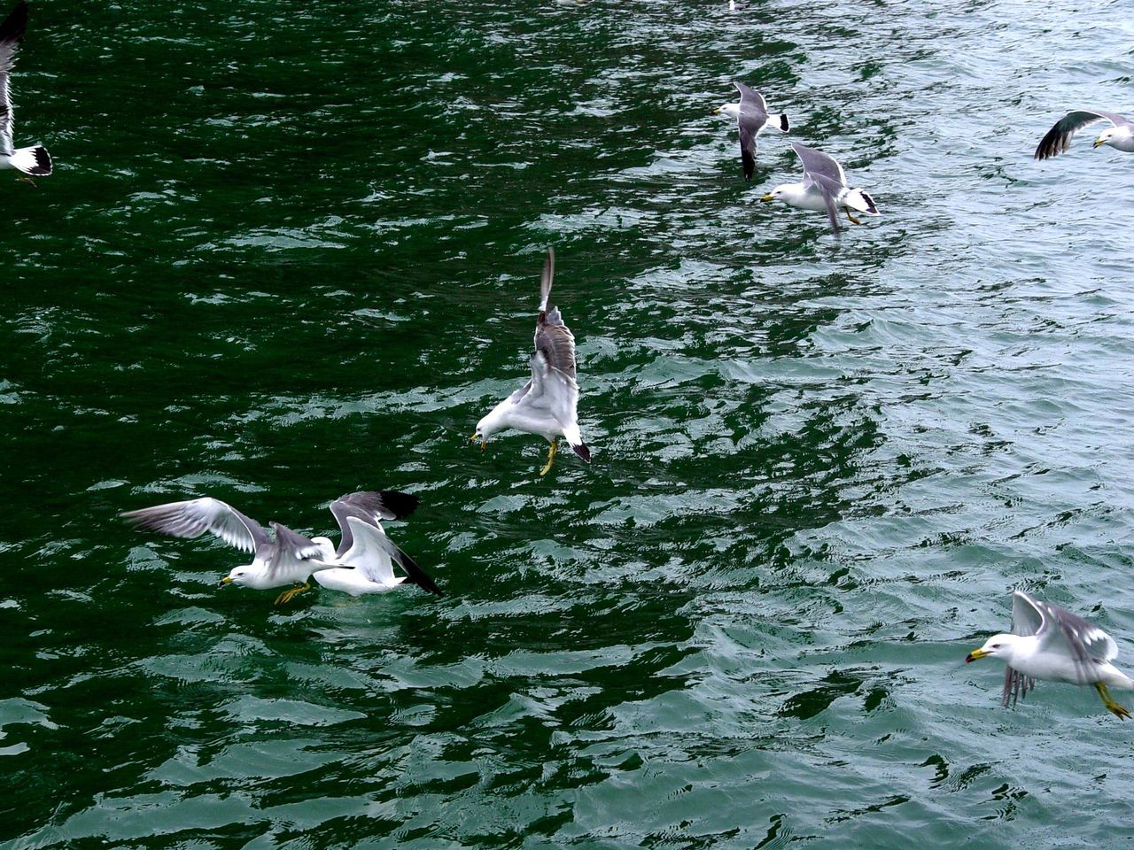 按此在新窗口浏览图片