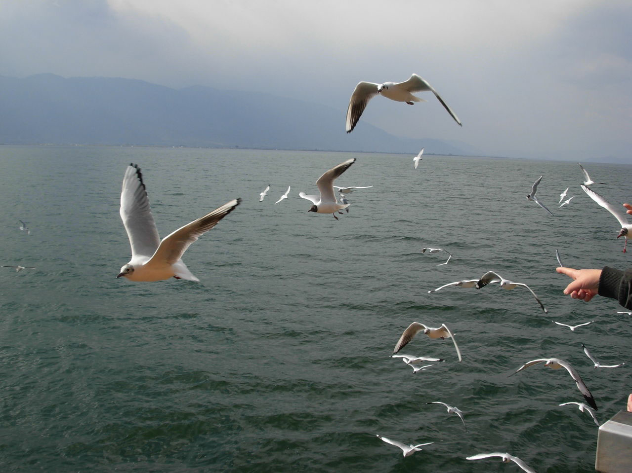按此在新窗口浏览图片