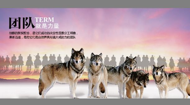 团队展板模板psd素材