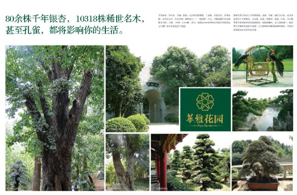 楼盘广告模板psd素材