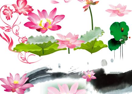 抠好的荷花模板psd素材免抠图的荷花荷叶等传统素材模板