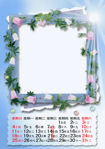 2015年花朵边框挂历模板{T072.魅力花世界}系列免费下载一月(共13P)