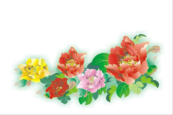 矢量牡丹花