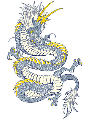 龙矢量