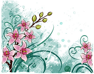 矢量手绘百合花