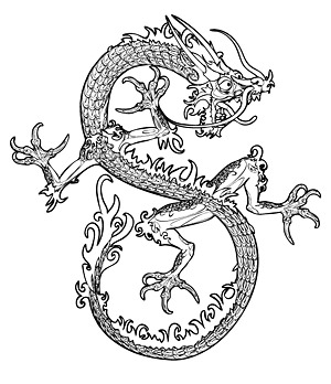 龙矢量3