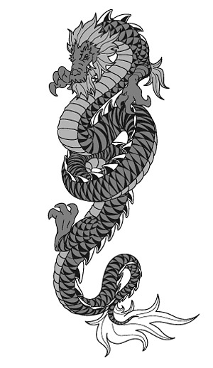 龙矢量2