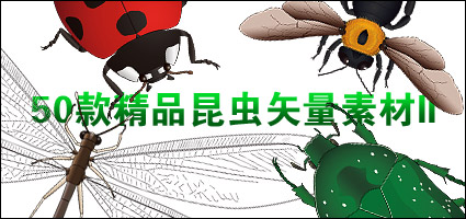 昆虫系列矢量2