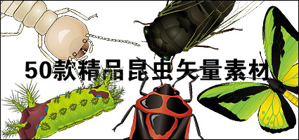 昆虫系列矢量1