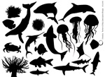 海洋生物剪影