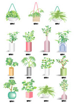 矢量植物花卉1