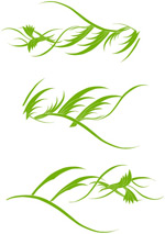 矢量植物花纹