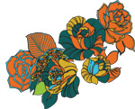 韩国矢量精美花纹