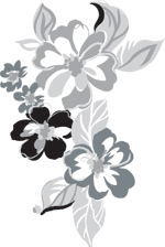 韩国矢量精美花纹
