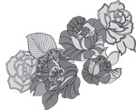 韩国矢量精美花纹