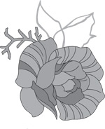 韩国矢量精美花纹