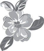 韩国矢量精美花纹