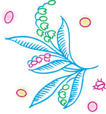 韩国矢量精美花纹