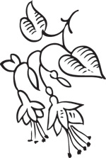 韩国矢量精美花纹