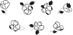 韩国矢量精美花纹