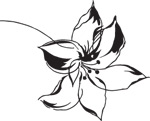 韩国矢量精美花纹