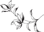 韩国矢量精美花纹