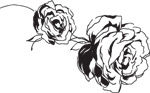 韩国矢量精美花纹