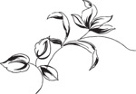 韩国矢量精美花纹