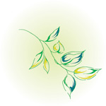 韩国矢量精美花纹