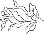 韩国矢量精美花纹