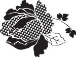 韩国矢量精美花纹