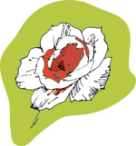 韩国矢量精美花纹
