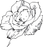 韩国矢量精美花纹
