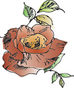 韩国矢量精美花纹