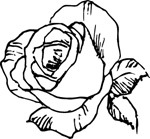 韩国矢量精美花纹