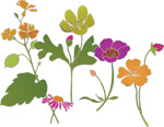 韩国矢量精美花纹