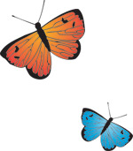韩国矢量精美花纹