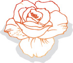 韩国矢量精美花纹