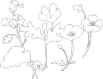 韩国矢量精美花纹