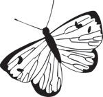 韩国矢量精美花纹