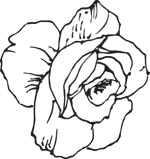 韩国矢量精美花纹
