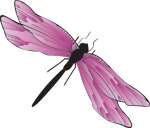 韩国矢量精美花纹
