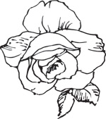韩国矢量精美花纹
