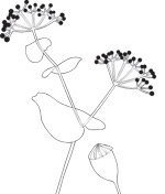 韩国矢量精美花纹