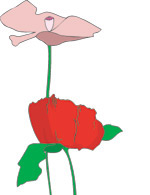 韩国矢量精美花纹