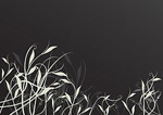 时尚花纹剪影矢量素材