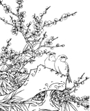 矢量梅花白描图